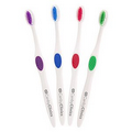 Accent Winter Adult Toothbrush